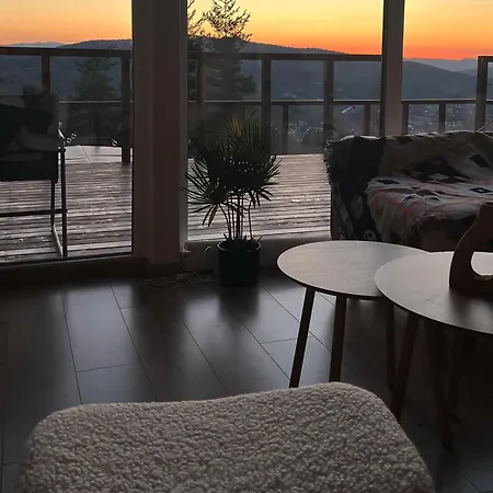 Holiday home Gonta House Skhidnytsia