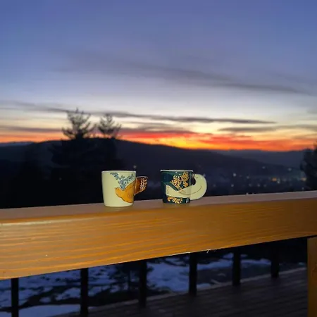 Holiday home Gonta House Skhidnytsia